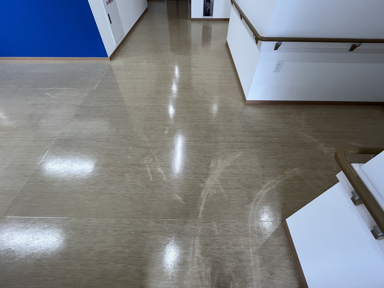 【札幌中央区】剥離清掃作業