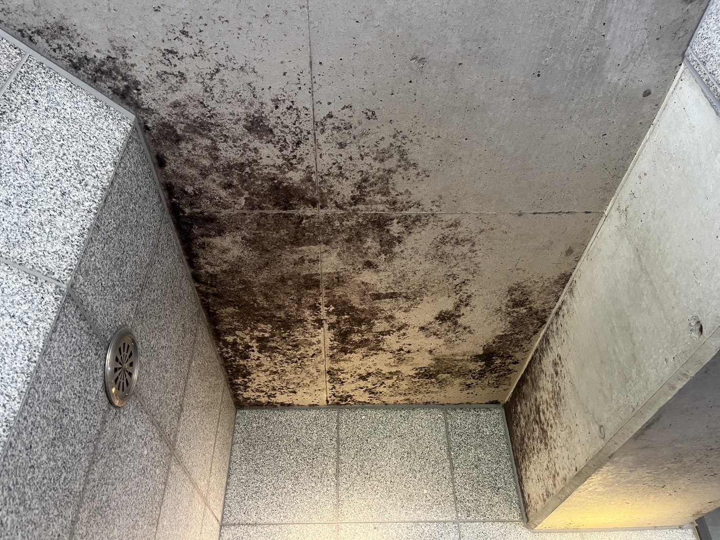 【岩見沢市】②浴場壁面カビ除去作業