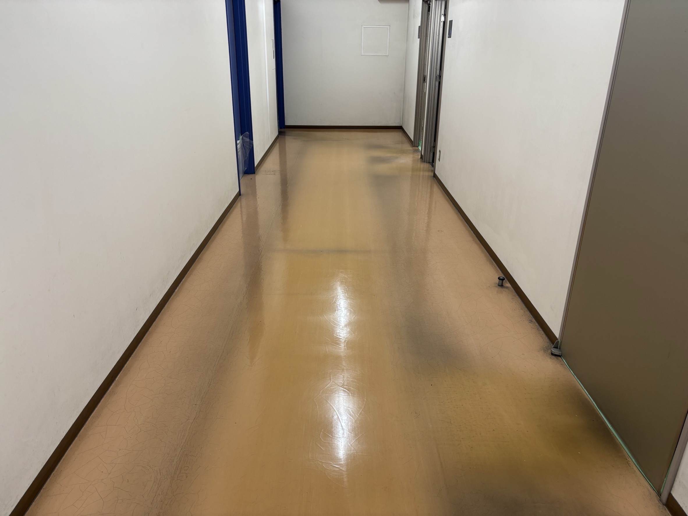 【北広島市】床面剥離作業