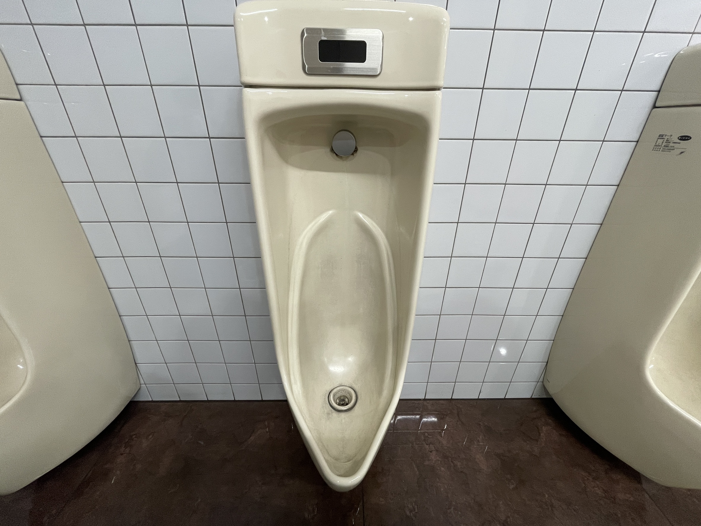 【北広島市】便器研磨後コーティング作業