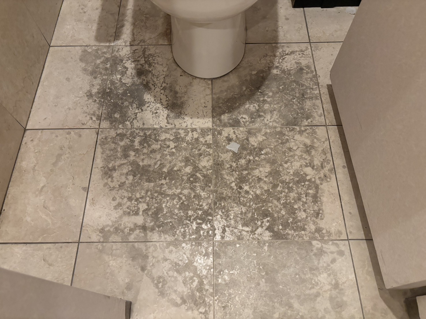 【札幌市】トイレの石床補修業務